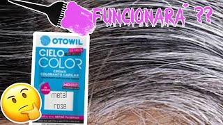 Tiño mis canas con tinte fantasía  otowil rose metal tintura cielo color herbal essences [upl. by Fairweather]