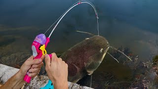 TOY FISHING ROD CATCHES MONSTER FISH [upl. by Tarr]