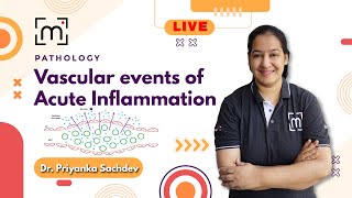 Understanding Vascular Events of Acute Inflammation  MedLive by Dr Priyanka [upl. by Kuehn]