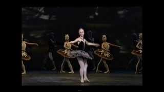 Pyotr Ilyich Tchaikovsky quotBallet Imperialquot [upl. by Zadack509]