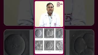 IVF Process explained  Dr Abhinay Singh Sengar  IVF specialist  Nova IVF Dehradun [upl. by Mailiw]