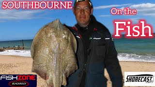 SOUTHBOURNE SEA FISHING  WITH SUCCESS [upl. by Yessydo]