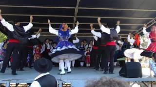 Rancho Folclórico de Dem  Arga de São João Caminha 2012 [upl. by Oicatsana]