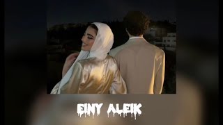 Nancy ajram  einy aleik  English lyrics slowed [upl. by Hillary17]