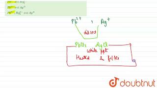 Saltmixture oversetdil HCI toSaltis consistingof cation  12  QUALITATIVE INORGANIC SALT AN [upl. by Berey210]