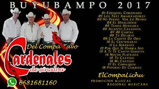 Los Cardenales De Sinaloa  Disco Completo En Vivo Buyubampo Choix 2017 [upl. by Hagen430]