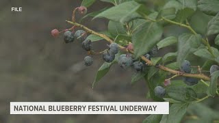 Blueberry Festival returns to South Haven [upl. by Audwen581]