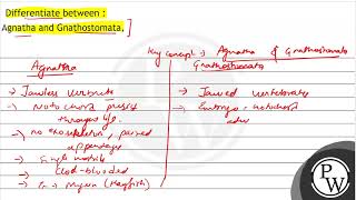 Differentiate between  Agnatha and Gnathostomata [upl. by Wong10]