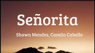 Shawn Mendes Camila​ Cabello  Señorita​ Lyrics​ [upl. by Sunday]