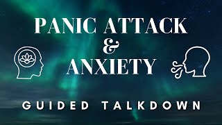 Stop Panic Attacks FAST With This Guided Talk Down [upl. by Enuj]