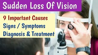 Sudden Loss of Vision Causes Symptoms Diagnosis amp Treatment  Sudden Blindness [upl. by Daphie351]