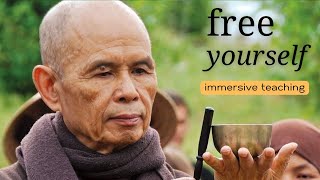 Free Yourself extended version  Teaching by Thich Nhat Hanh [upl. by Aisauqal72]