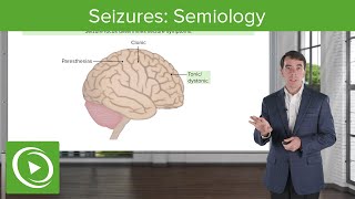 Seizures Semiology  Clinical Neurology [upl. by Josefa]