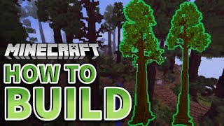 How to Build Redwood Trees in Minecraft Redwood Forest 13 [upl. by Island229]