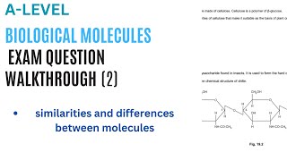 BIOLOGICAL MOLECULES exam question walkthrough pt2  Alevel Biology [upl. by Ajan565]