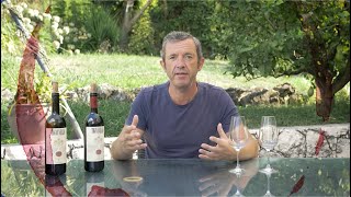 Brad Tastes the Iconic Tignanello 2012 and 2018 Vintages [upl. by Goren651]