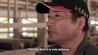 【full】TOCHIGI WAGYU quotDiscover TOCHIGIJapan  Our taste is chosen for a reasonquot [upl. by Lasala766]