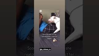 PITBULLS WILL TURN ON YOU 👀 pitbull doglover youtubeshorts trendingshorts vicious [upl. by Mayfield]