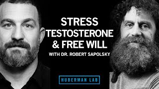 Dr Robert Sapolsky Science of Stress Testosterone amp Free Will [upl. by Mcspadden]