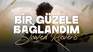 Pinhâni  Bir Güzele Bağlandım Slowed  Reverb [upl. by Shawn925]