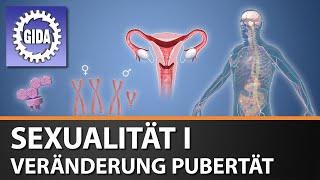 Trailer  Sexualität I  Veränderung Pupertät  Biologie  Schulfilm  GIDA [upl. by Maples]