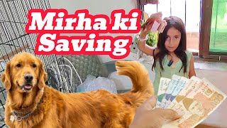 Mirha Ka Dog Ka Sapna – Cats Ko Combing Aur Eye Drops Diya [upl. by Amyaj]