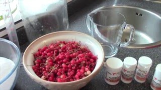 How to make Redcurrant Wine by Brewbitz Homebrew Shop [upl. by Werner]