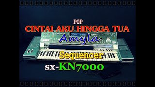 Cintai Aku Hingga Tua  Amyla karaoke  sxKN7000 [upl. by Swain996]