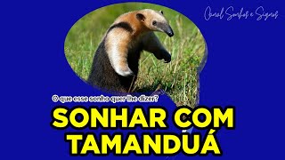 SONHAR COM TAMANDUÁ  Qual o significado [upl. by Anika375]