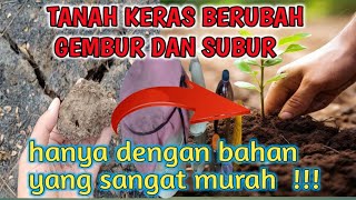 🛑BONGKAR RAHASIA CARA MENYUBURKAN TANAH YANG KERAS❗ [upl. by Akkire103]