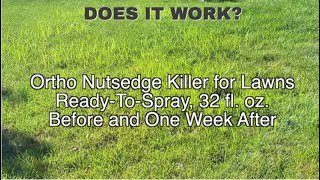 REVIEW Kill Nutsedge Fast With Ortho Nutsedge Killer RTU Spray [upl. by Aneleve]