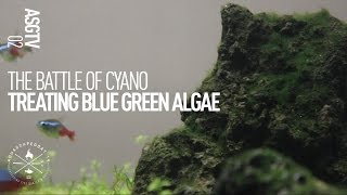 How to Kill Cyanobacteria In A Planted Tank [upl. by Micheil961]