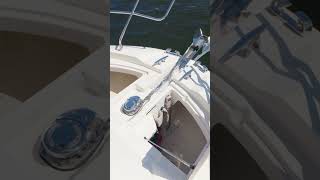 2023 Prestige 460 Flybridge yachtsforsale prestigeyachts luxuryyacht [upl. by Adnirak]