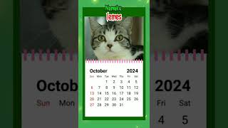 Kalender bulan Oktober 2024 cover kucing [upl. by Karsten]