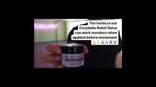 Corydalis Pain Relief Salve Application [upl. by Korenblat]