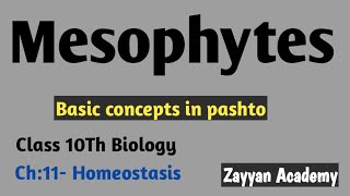 Osmoregulation in Plants Mesophytes Class 10th Biology pashto lecture [upl. by Gnouh275]