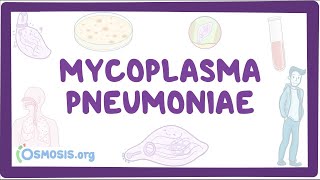 Mycoplasma pneumoniae  an Osmosis Preview [upl. by Yrovi]