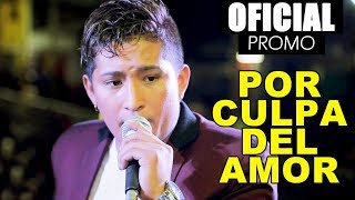 Por Culpa del Amor  Zafiro Sensual OFICIAL Video LYRIC Promocional 2017 [upl. by O'Toole381]