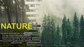 Stunning Title Slide Design in PowerPoint  PowerPoint Nature Title Slide Design  PowerPoint Nature [upl. by Caspar]