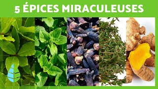 5 ÉPICES MIRACULEUSES que vous devriez INCLURE dans votre RÉGIME 💚 Bienfaits pour la SANTÉ [upl. by Atteynot678]