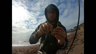 Fishing with Shrimp at Shell Beach Pismo CA [upl. by Suravaj341]