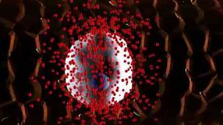 Cellular response to Inflammation Theatrical Version [upl. by Schroer762]