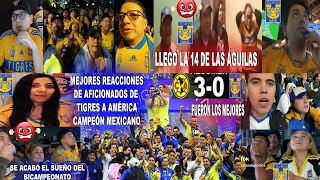 REACCIONES DE AFICIONADOS DE TIGRES AL AMÉRICA CAMPEÓN MEXICANO 30 TIGRES  LLEGÓ LA 14 [upl. by Yromem]