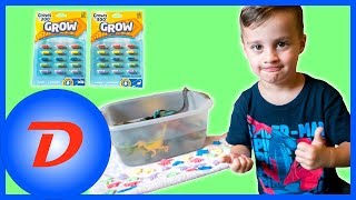 Grow Capsule Play Time  They Transform into Dinosaurs Cars and Vehicles [upl. by Enovad]