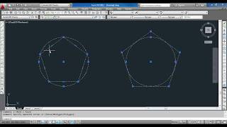 How to Draw Polygon in AutoCAD [upl. by Burney437]