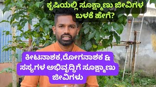 ಕೃಷಿಯಲ್ಲಿ ಸೂಕ್ಷ್ಮಾಣು ಜೀವಿಗಳ ಬಳಕೆ how to use micro organisms in agriculture [upl. by Mloc]