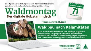 20240108 Waldbau nach Kalamitäten [upl. by Trygve]