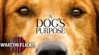 A Dogs Purpose  Official Movie Review [upl. by Riddle]