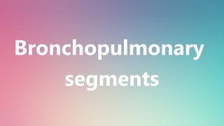 Bronchopulmonary segments  Medical Meaning [upl. by Onitsuaf]