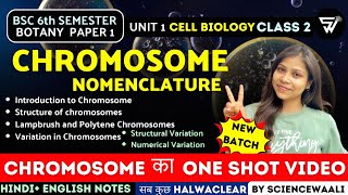 Chromosome Structure amp Function  Chromosomal Nomenclature BSc 6th semester Paper 1 Unit 1 🔥 [upl. by Irab500]